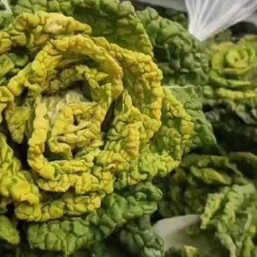 黄心菜