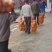 江永老树高山香柚口感好糖分高欢迎各位老板前来订货