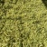 2024年精品脱水花菜干低糖无添加青杆花菜干