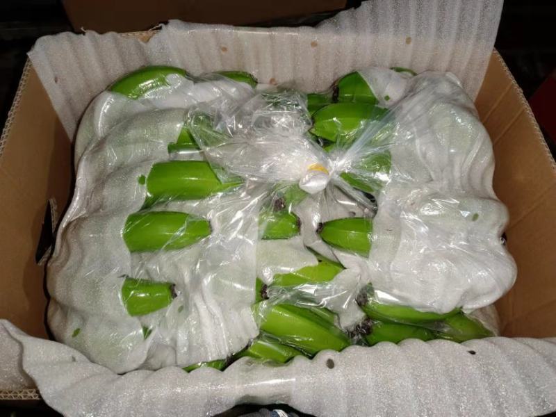 云南香蕉，有喜欢的快点咨询！