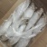 冷冻白鳞鱼，无断尾，价格便宜白鳞鱼，快鱼适合晒、零售等