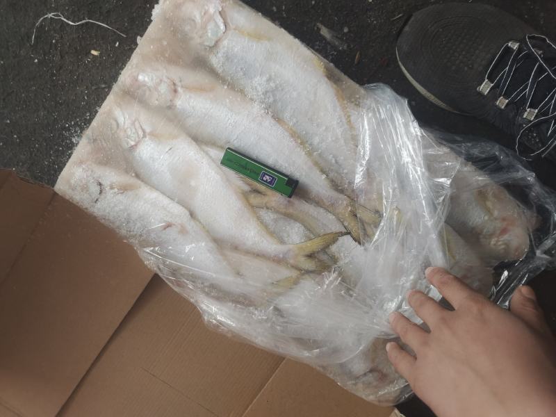 冷冻白鳞鱼，无断尾，价格便宜白鳞鱼，快鱼适合晒、零售等