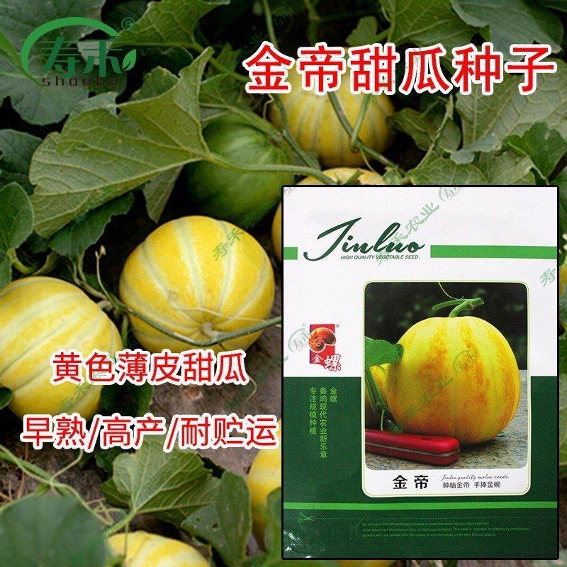 鼎牌甜瓜种子，400粒