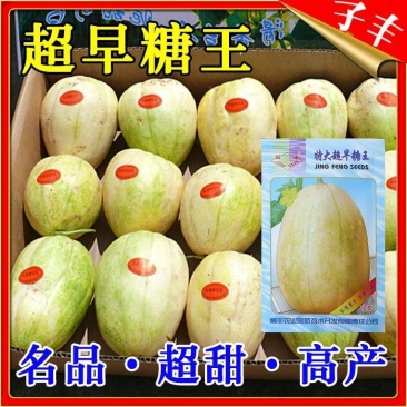 大早糖甜瓜种子，10克