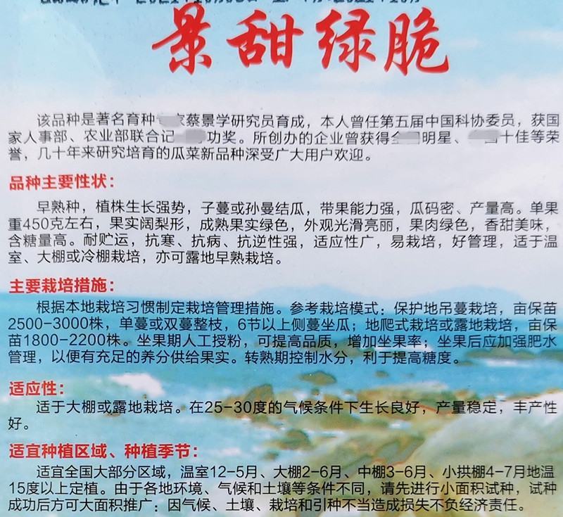 景甜绿脆甜瓜种子，5克