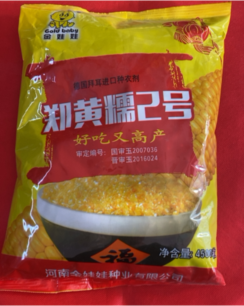 郑黄糯2号玉米种子出口级别玉米糁品质好产量高