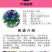 三色堇种子猫儿脸蝴蝶花种籽角堇耐寒花卉盆栽庭院花坛