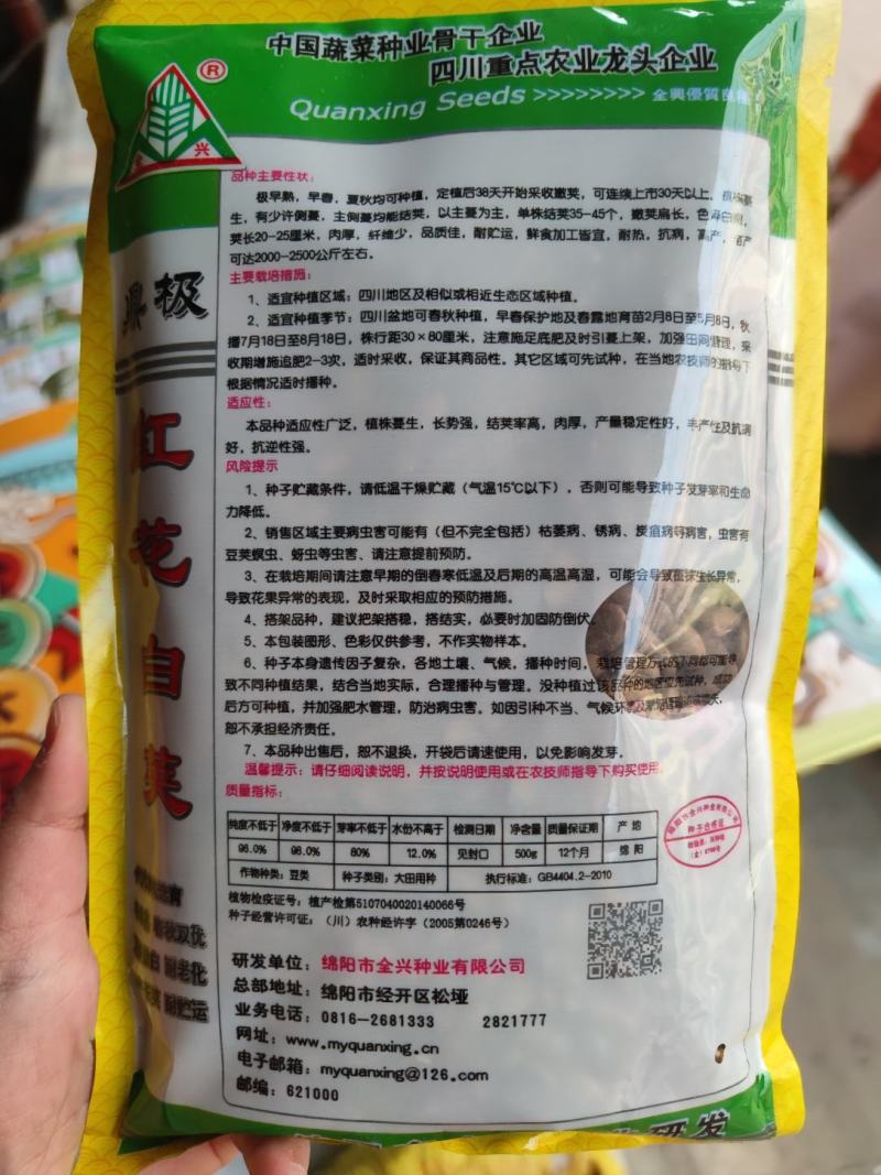 红花白荚四季豆种子500克，荚长25厘米，肉厚纤维少，