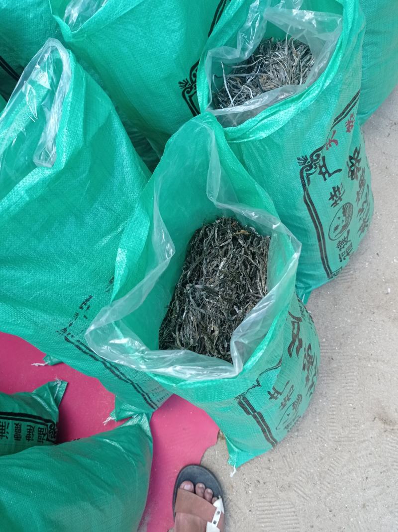 【食堂专用】包运费！泡水福建海带长丝干海带厂家直销，