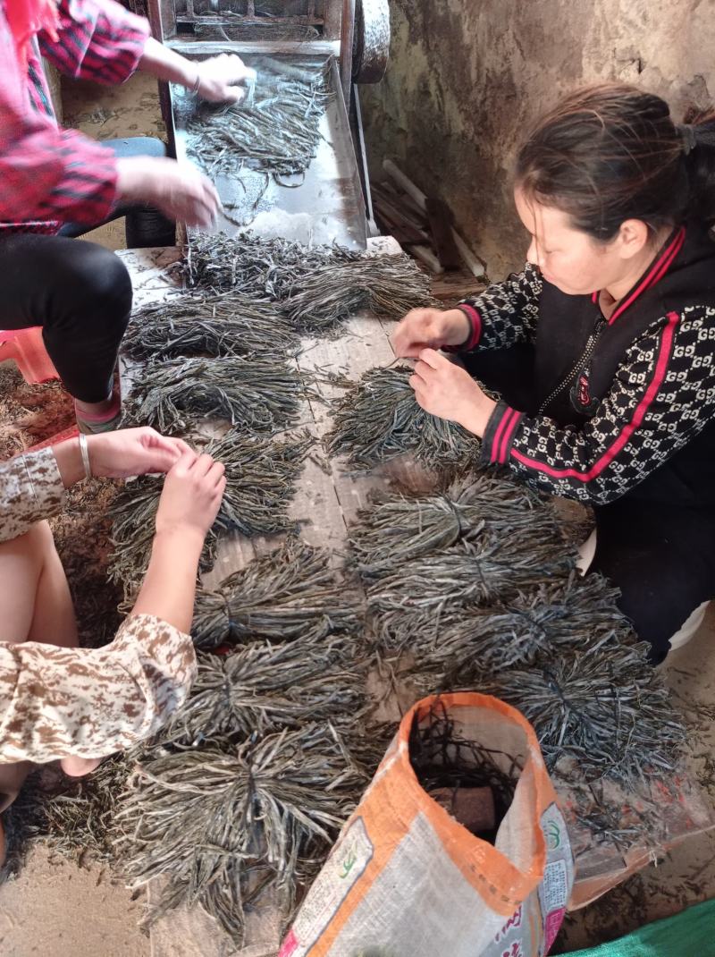 【食堂专用】包运费！泡水福建海带长丝干海带厂家直销，