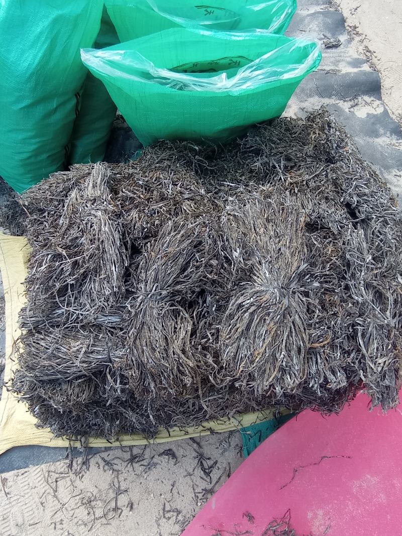 【食堂专用】包运费！泡水福建海带长丝干海带厂家直销，