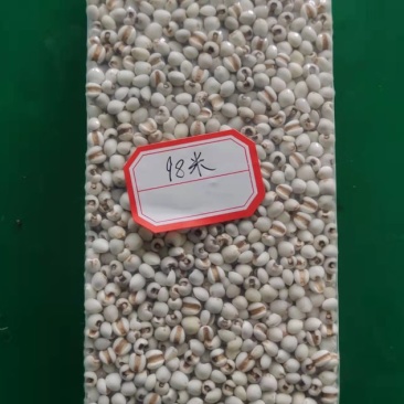 薏苡仁小米贵州道地药材