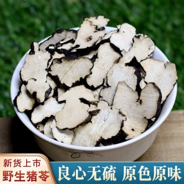 新货猪苓中药材猪苓片秦岭密林猪苓精选大片猪苓汤