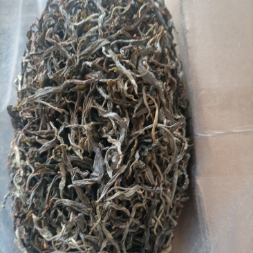 园地单珠茶，数量有限