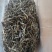 园地单珠茶，数量有限
