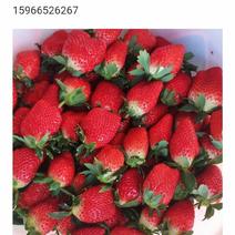 甜宝草莓，香野草莓，天使八号草莓，品质好口感特好