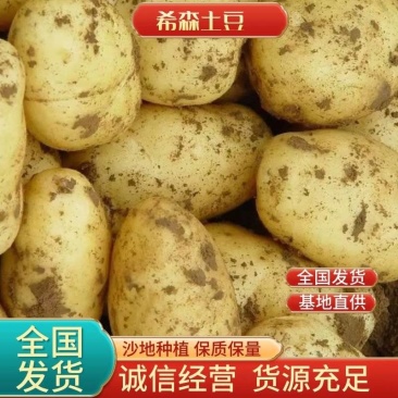 希森6号土豆内蒙土豆沙地种植货源稳定