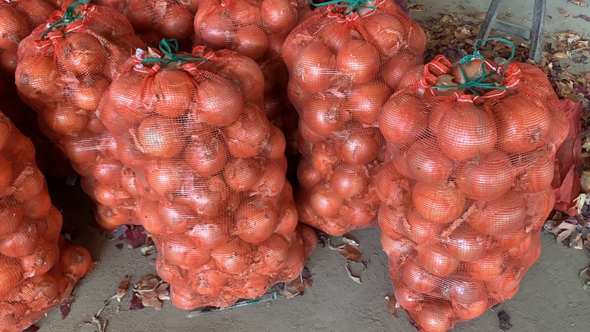 图片说明:平度市红皮洋葱加工车间,工人正在进行分级、清洗和包装作业,确保每一颗洋葱都符合出口级标准 红皮洋葱分拣包装现场