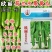 荷兰水果黄瓜种子无刺无瓜把节节有瓜油绿甜脆
