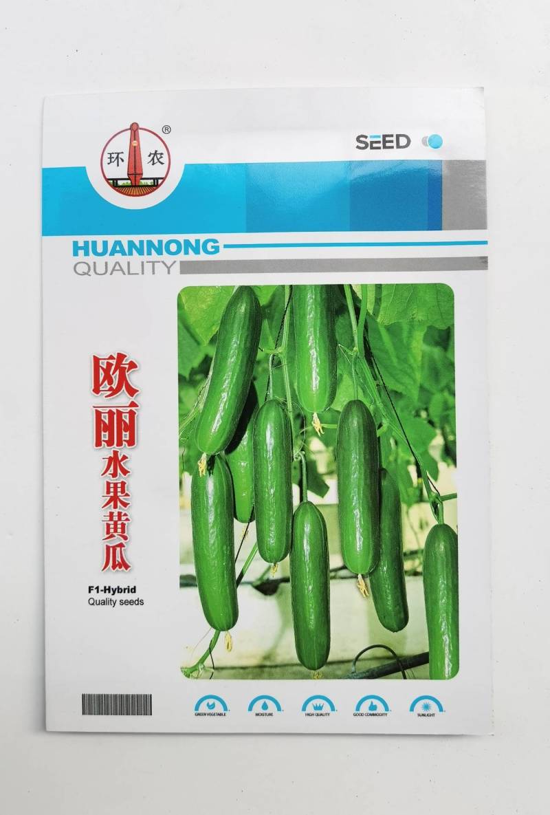 荷兰水果黄瓜种子无刺无瓜把节节有瓜油绿甜脆