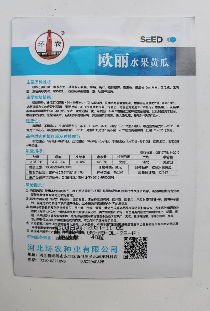 荷兰水果黄瓜种子无刺无瓜把节节有瓜油绿甜脆