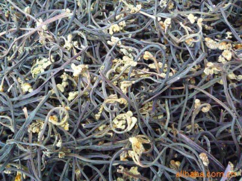 云南野生蕨菜（干）