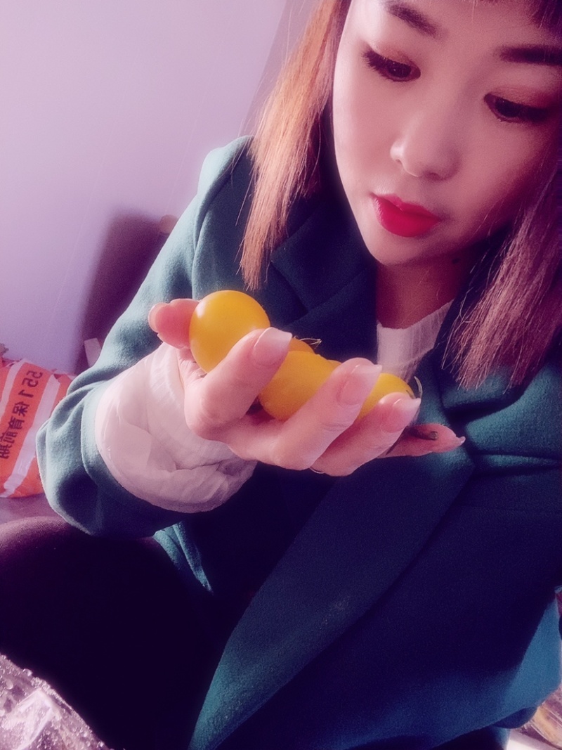 大量批发黄姑娘409碧娇、果品质量保证好
