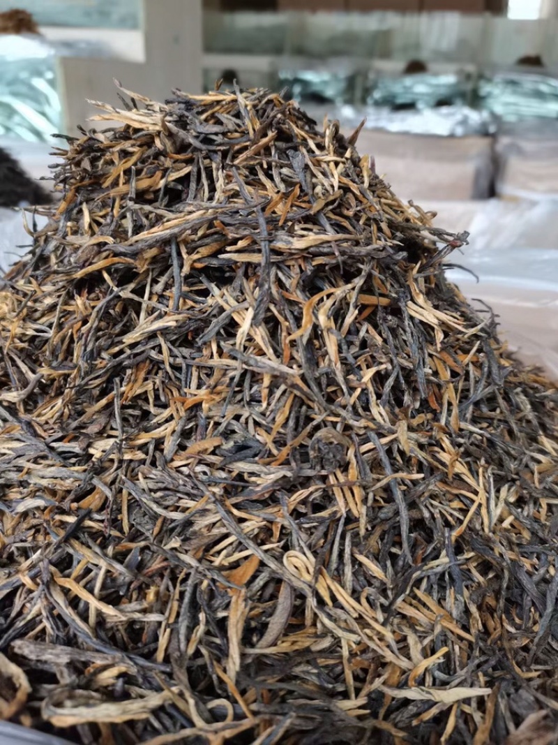 滇红经典58