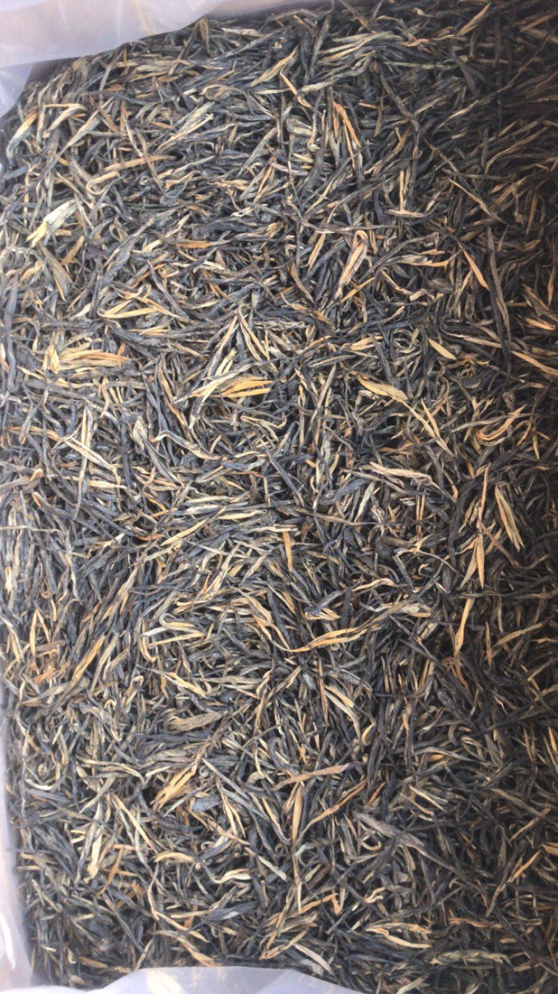 滇红经典58
