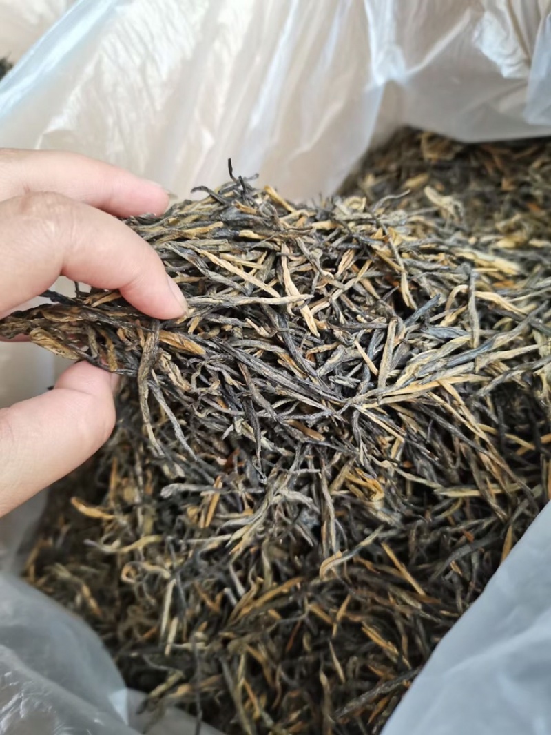 滇红经典58