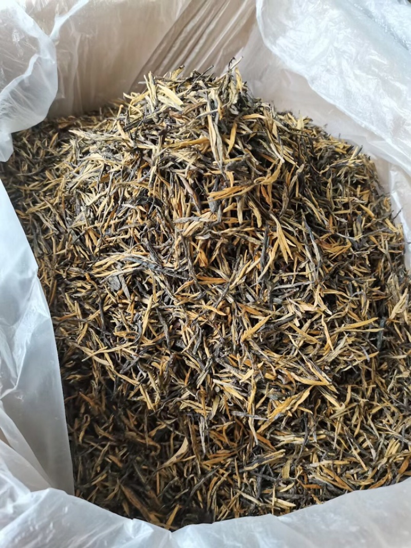 滇红经典58