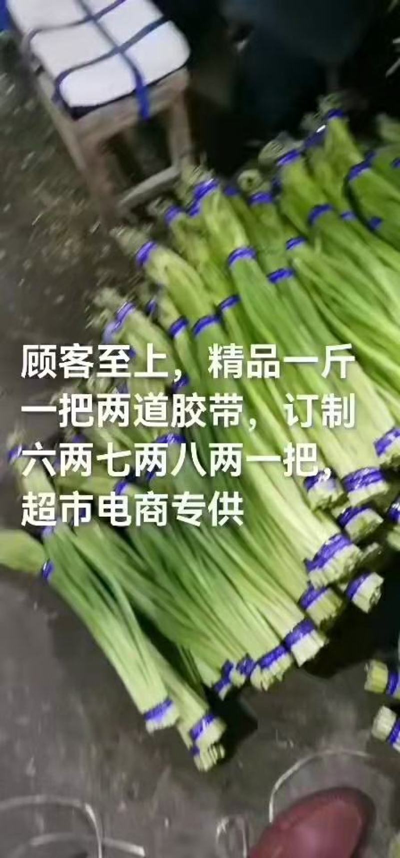 金乡蒜苔，优质蒜苔，杂交蒜苔，质量保证，随到随装