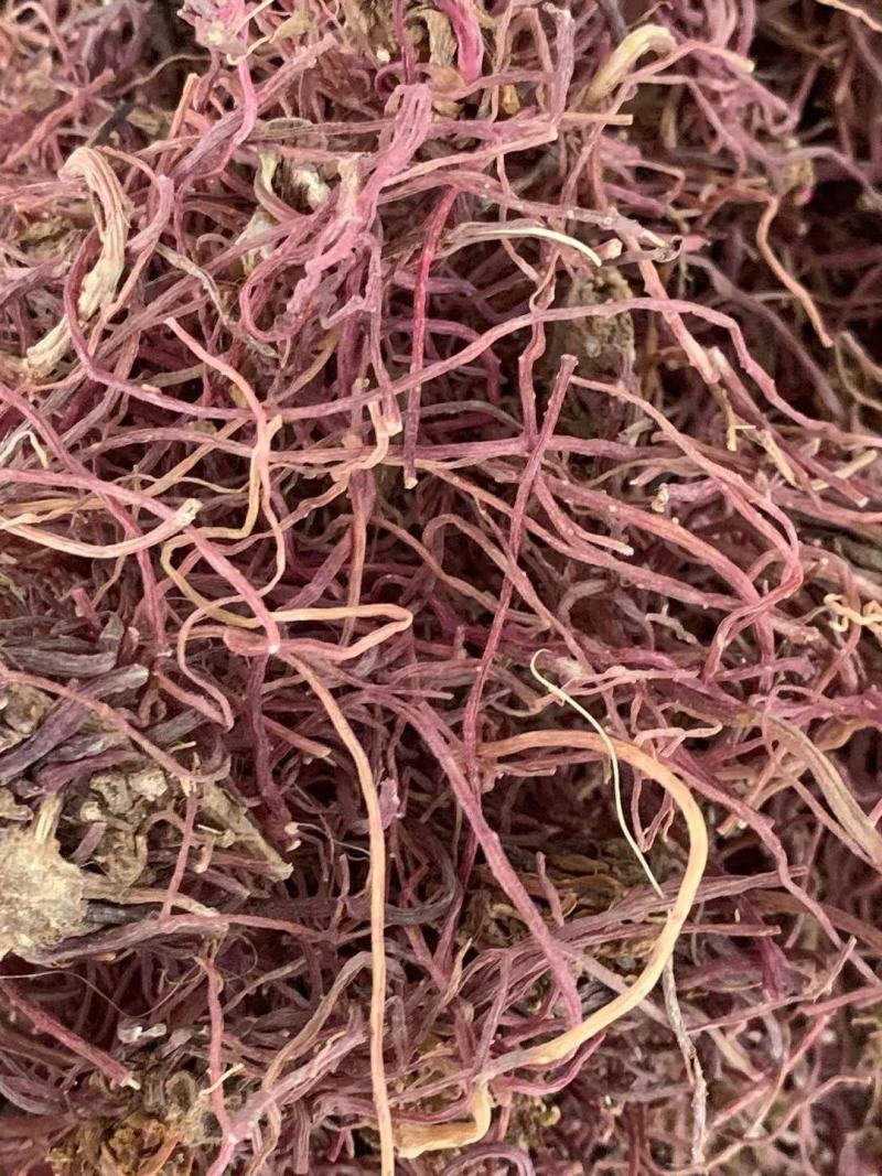 紫菀【包邮】三斤起发货可批量可零售量大从优