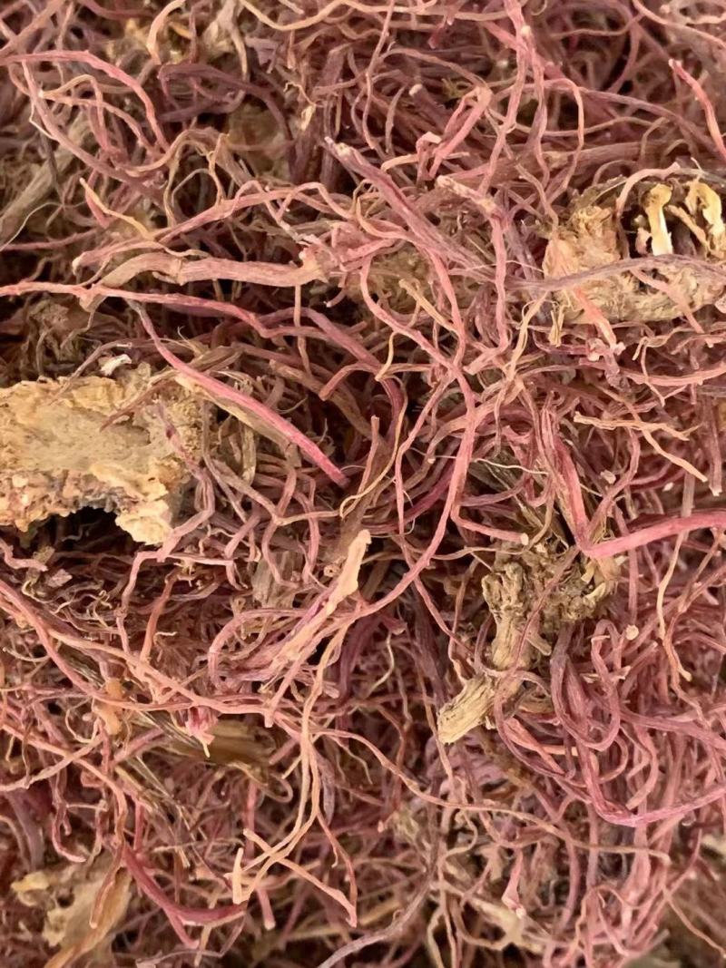 紫菀【包邮】三斤起发货可批量可零售量大从优