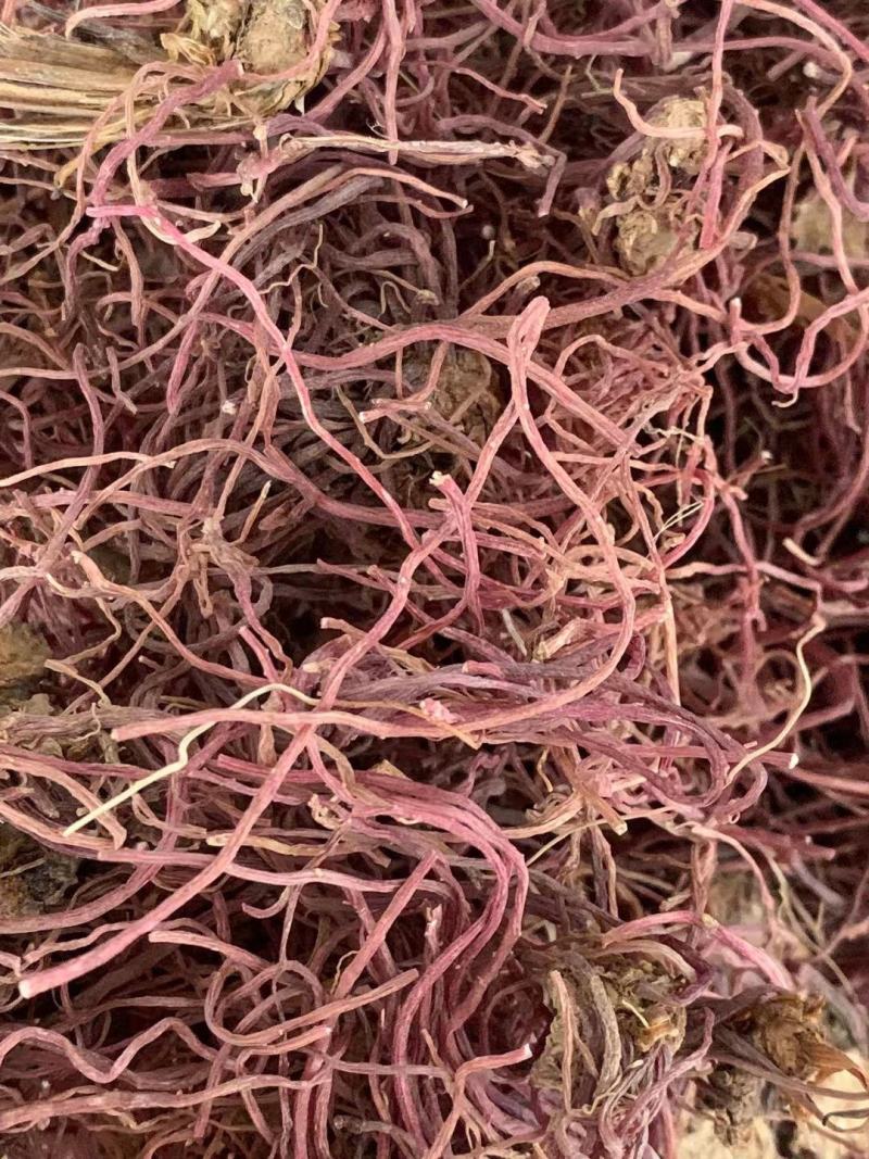 紫菀【包邮】三斤起发货可批量可零售量大从优