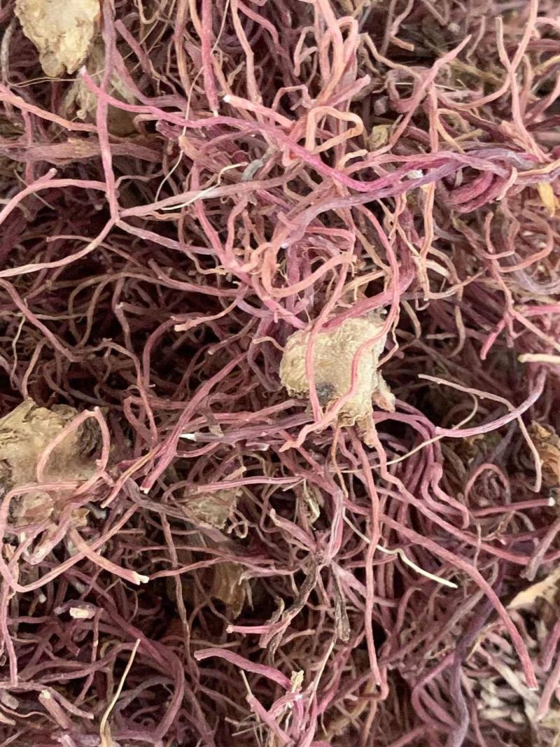 紫菀【包邮】三斤起发货可批量可零售量大从优