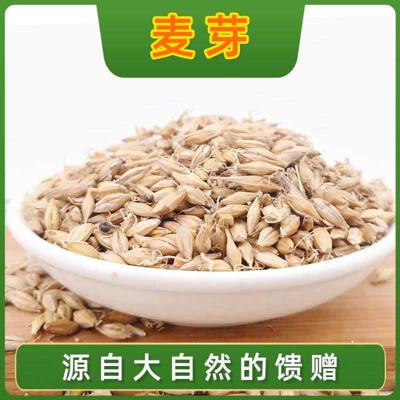 生麦芽中药材泡水喝大麦芽茶回奶特级晒麦牙茶非