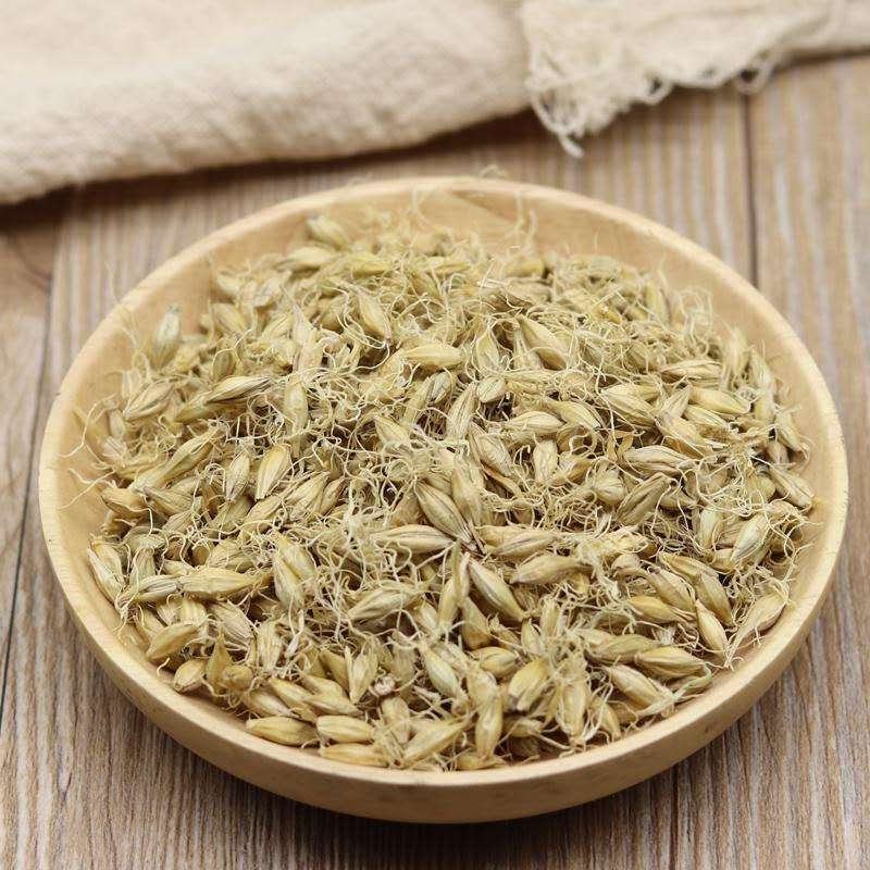 生麦芽中药材泡水喝大麦芽茶回奶特级晒麦牙茶非