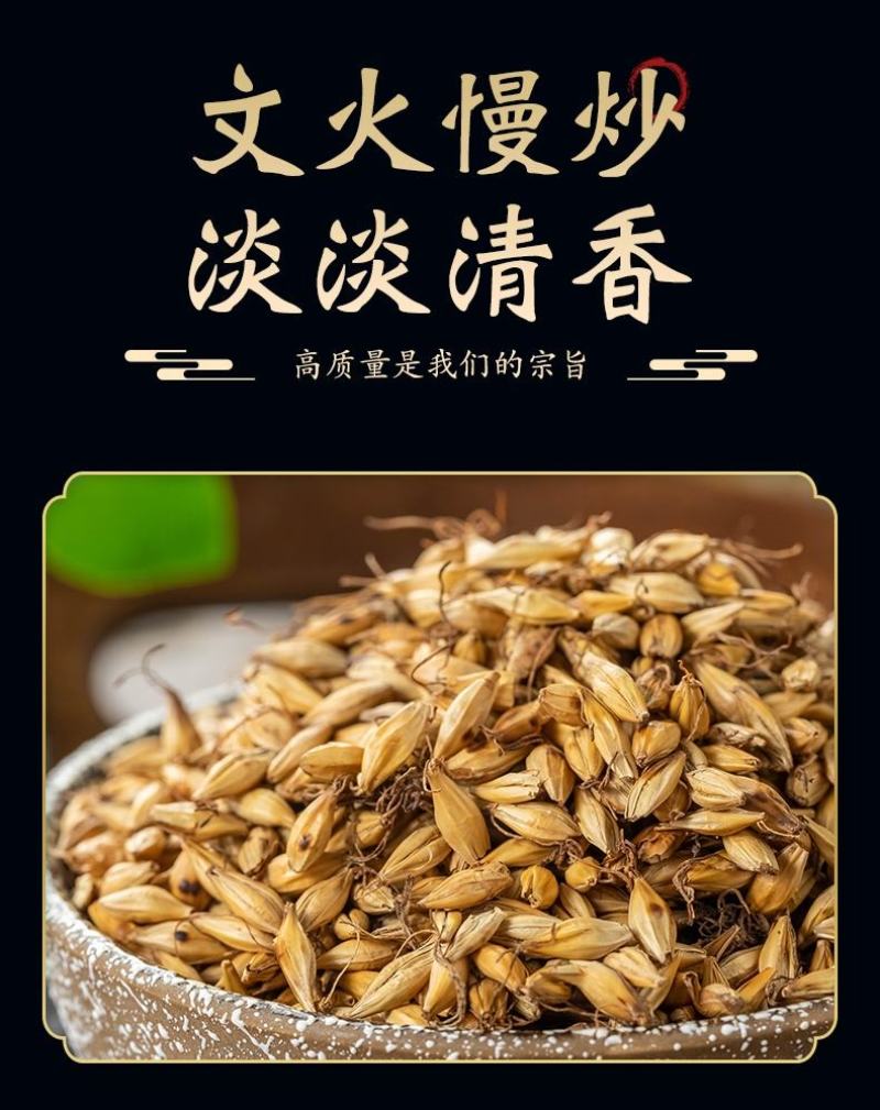 生麦芽中药材泡水喝大麦芽茶回奶特级晒麦牙茶非
