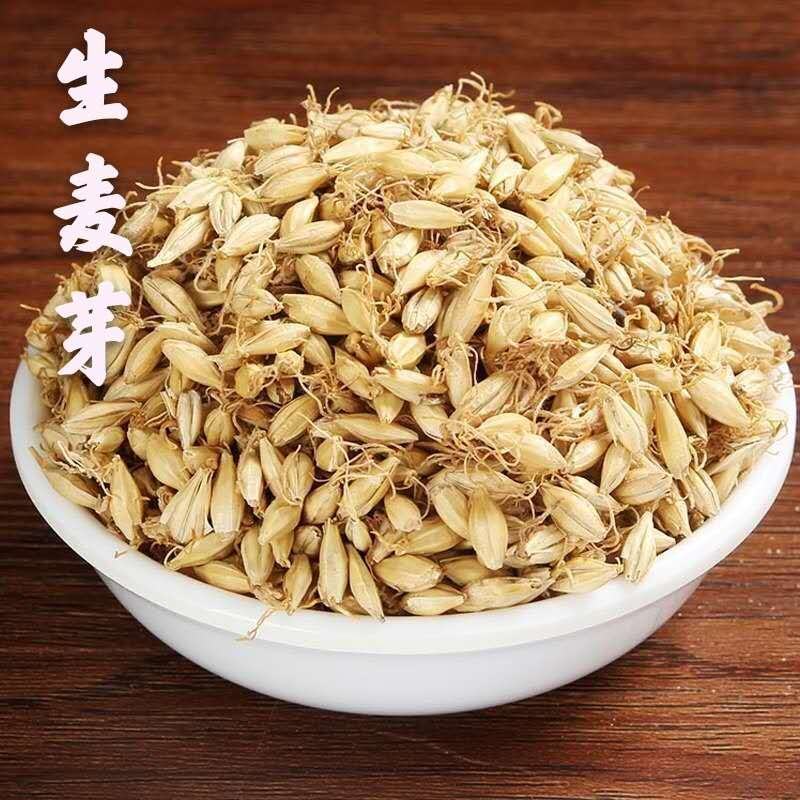 生麦芽中药材泡水喝大麦芽茶回奶特级晒麦牙茶非