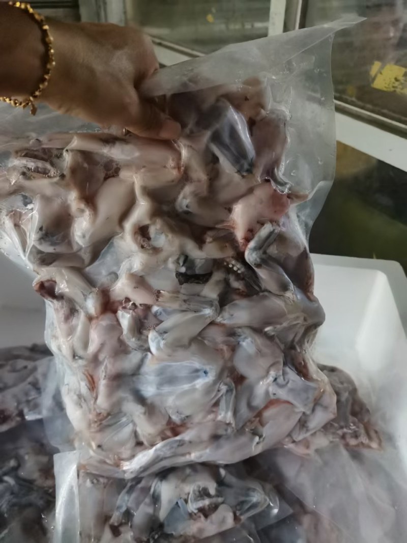 新鲜牛蛙现杀现发牛蛙肉不注水无冰衣肉质保证餐饮合作