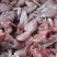新鲜牛蛙现杀现发牛蛙肉不注水无冰衣肉质保证餐饮合作
