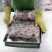 新鲜牛蛙现杀现发牛蛙肉不注水无冰衣肉质保证餐饮合作