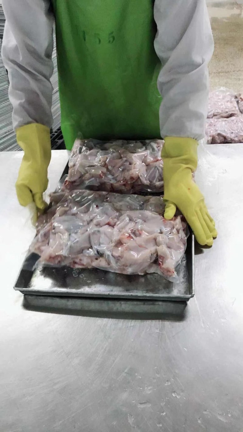 新鲜牛蛙现杀现发牛蛙肉不注水无冰衣肉质保证餐饮合作