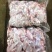 新鲜牛蛙现杀现发牛蛙肉不注水无冰衣肉质保证餐饮合作
