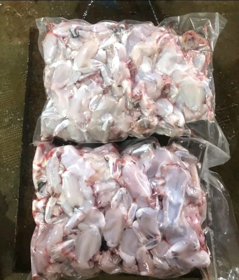 新鲜牛蛙现杀现发牛蛙肉不注水无冰衣肉质保证餐饮合作