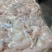 新鲜牛蛙现杀现发牛蛙肉不注水无冰衣肉质保证餐饮合作