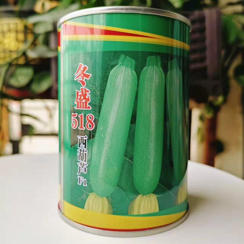 耐寒西葫芦油亮翠绿粒尔田冬盛518抗病耐寒