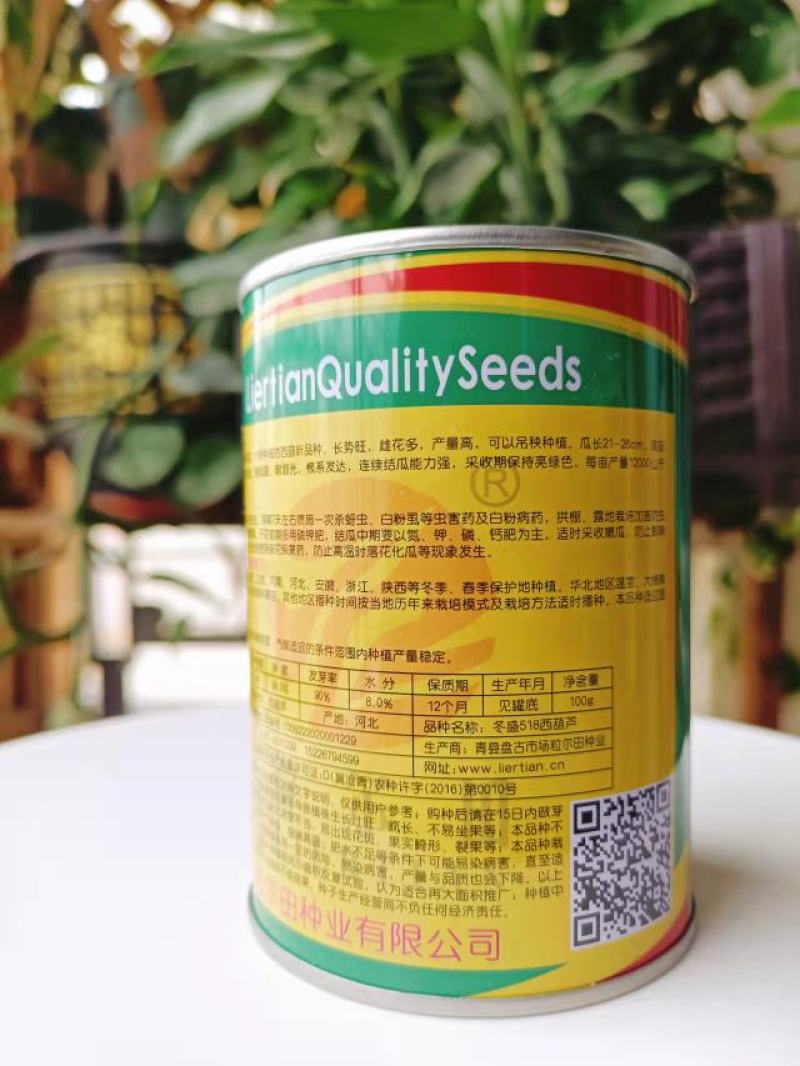 耐寒西葫芦油亮翠绿粒尔田冬盛518抗病耐寒