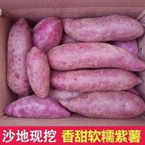 紫薯山东紫薯，大量出货中品质保证诚信经营软糯香